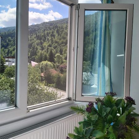 Apartment Valea Azugii Azuga Buitenkant foto