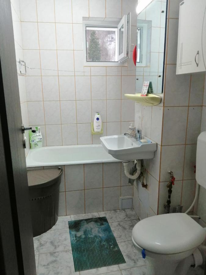 Apartment Valea Azugii Azuga Buitenkant foto