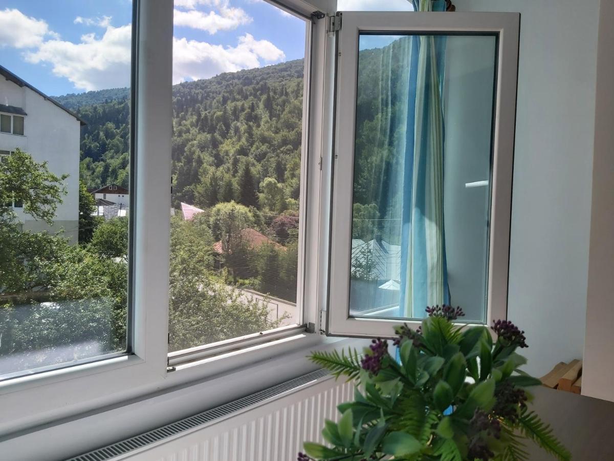 Apartment Valea Azugii Azuga Buitenkant foto