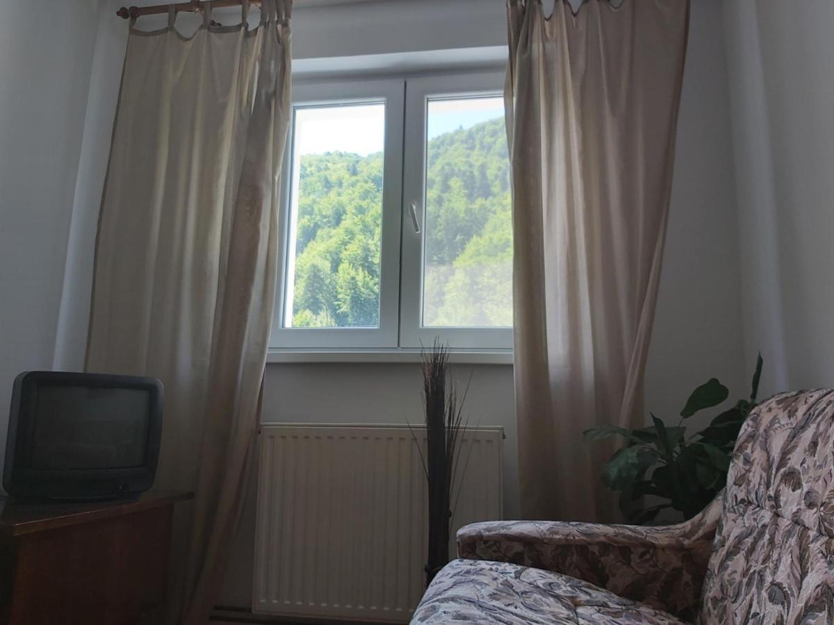 Apartment Valea Azugii Azuga Buitenkant foto