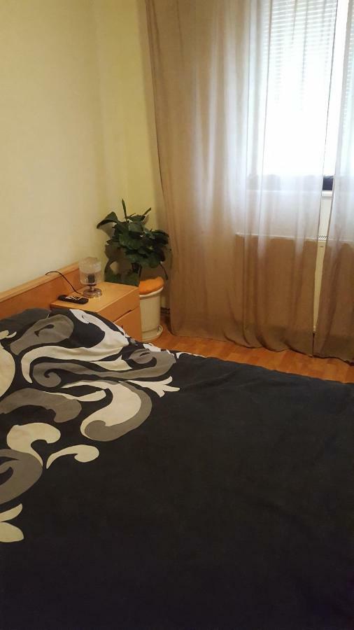 Apartment Valea Azugii Azuga Buitenkant foto